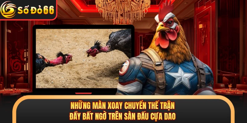 Những màn xoay chuyển thế trận đầy bất ngờ trên sàn đấu cựa dao 