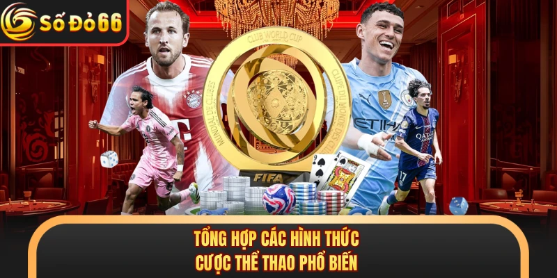 Tổng hợp các hình thức cược thể thao phổ biến 